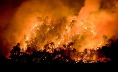 ΕΡΕΥΝΑ: Οι δασικές πυρκαγιές μια αυξανόμενη παγκόσμια απειλή