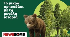 Η Lidl Ελλάς στήριξε την επιτυχή επανένταξη της Μάρθας στη φύση, σε συνεργασία με τον ΑΡΚΤΟΥΡΟ
