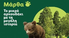 Η Lidl Ελλάς στήριξε την επιτυχή επανένταξη της Μάρθας στη φύση, σε συνεργασία με τον ΑΡΚΤΟΥΡΟ