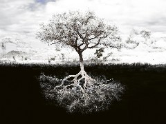 Γιώργος Κροντήρης: Αντασφάλιση – Από μηχανισμός προστασίας, μοχλός ανάπτυξης