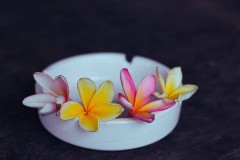 Διακοπή καπνίσματος και πρόληψη στο επίκεντρο καμπάνιας της Εθνικής Ασφαλιστικής – Βίντεο