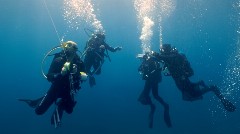 «Μπλε Δάση»: Πρεμιέρα για τη νέα σειρά ντοκιμαντέρ της COSMOTE TV