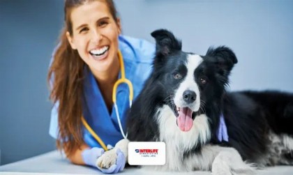 Το πρόγραμμα PET care της INTERLIFE για την ασφάλιση κατοικιδίου (Βίντεο)