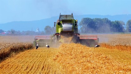 Ανοδικοί οι κίνδυνοι για τις τιμές των αγροτικών προϊόντων – Κατά 3,98% αυξήθηκαν οι τιμές τον Σεπτέμβριο